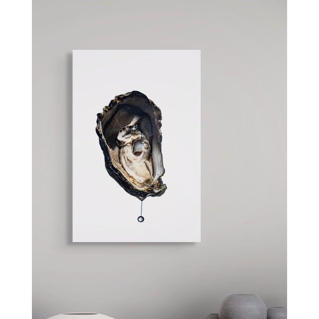 Oyster by Sivan Roshianu — Limited Edition Metal Print, Edition of 10 For Sale - Image 4 of 4
