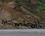 Mid 20th Century Vaniscotte, Northern Coastal View, Oil on Canvas For Sale In Atlanta - Image 6 of 11