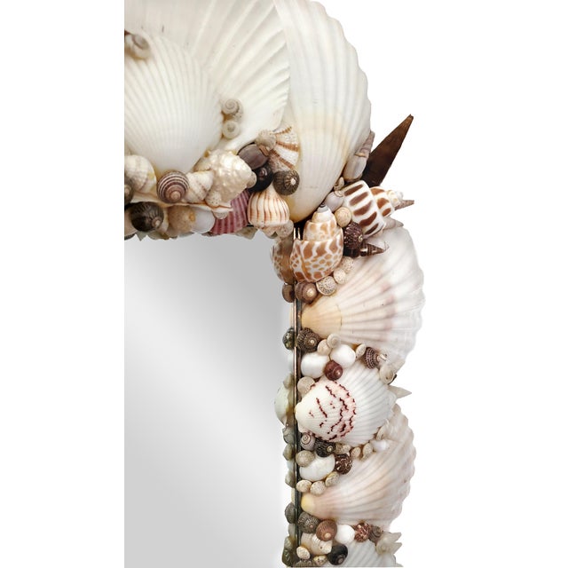 Shell Seashell White Wall Mirror For Sale - Image 10 of 14