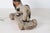 Early 20th Century Hand-Carved Painted Wood Lion Pull Toy on Wheeled Platform For Sale - Image 10 of 17