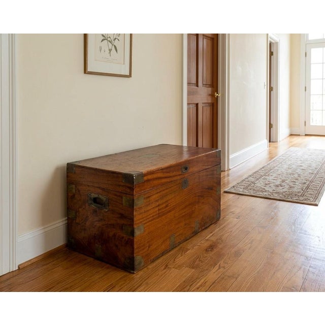 Antique Camphor Wood Military Campaign Chest, 1880 For Sale - Image 4 of 15