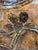 Vincent Payez Signed 1967 Torch Copper Wall Art, Brutalist Floral Repoussé Panel For Sale - Image 13 of 13