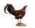 Life-Size Gamecock Taxidermy Mount Brilliant Red Orange Plumage Sand Mount Rooster For Sale In Philadelphia - Image 6 of 17