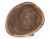 Early 20th Century Early 20th Century Suku Wood Helmet Mask For Sale - Image 5 of 6