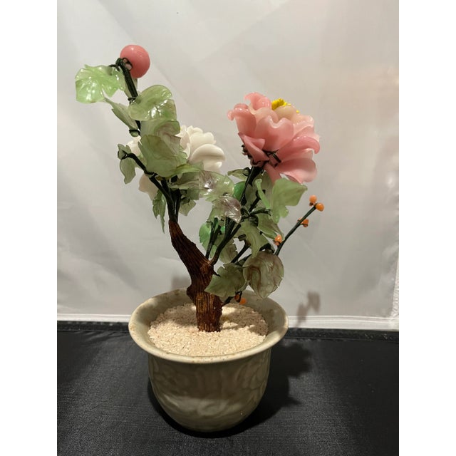 Bonsai Tree Peony Gem For Sale - Image 10 of 11