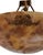 Early 20th Century Early 20th Century Domed Tortoise Shell Alabaster Coupe Plafonnier Pendant Fixture, Unwired For Sale - Image 5 of 12