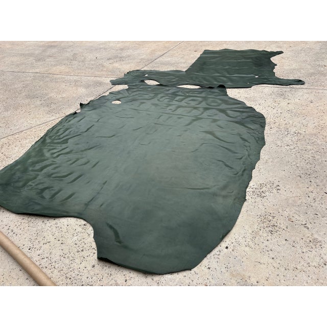 Moore and Giles Diablo Green Leather Hide For Sale In Austin - Image 6 of 10