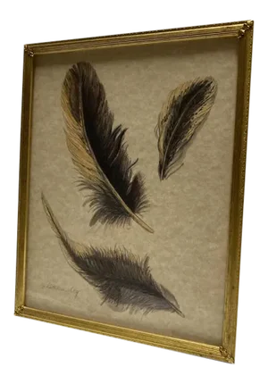 "Feather 1" Contemporary Still Life Digital Reproduction Print, Framed