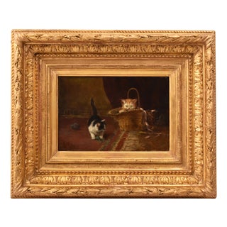 Aimée Roy, Portraits of Two Playing Cats, 19th Century, Oil Painting on Panel, Framed For Sale