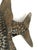Copper Wall Lighting in the Shape of an Angelfish, 1980s For Sale - Image 8 of 10