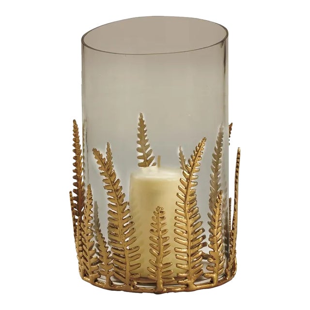 Fern Hurricane For Sale