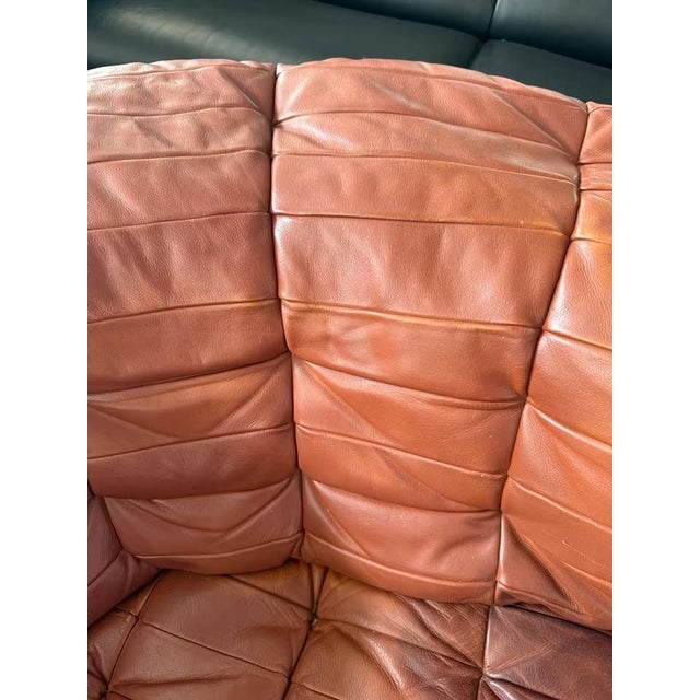 DS-11 Modular Leather Sofa from de Sede, Set of 5 For Sale - Image 15 of 18