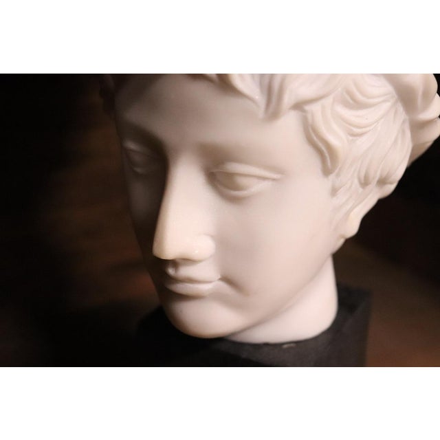 1930s Head of a Young Bacchus, 20th Century, White Marble Sculpture For Sale - Image 5 of 12