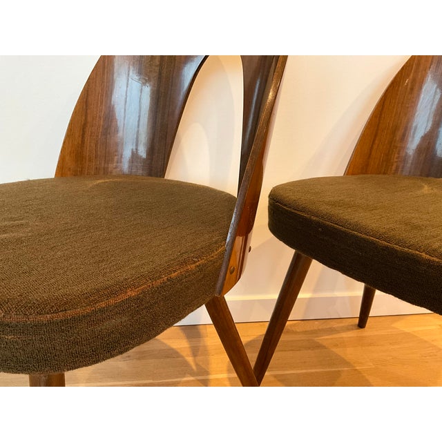 Olive Dining Chairs by Antonín Šuman, 1966, Set of 4 For Sale - Image 8 of 13