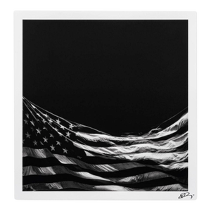 Untitled (Falling Flag) (2025) Robert Longo