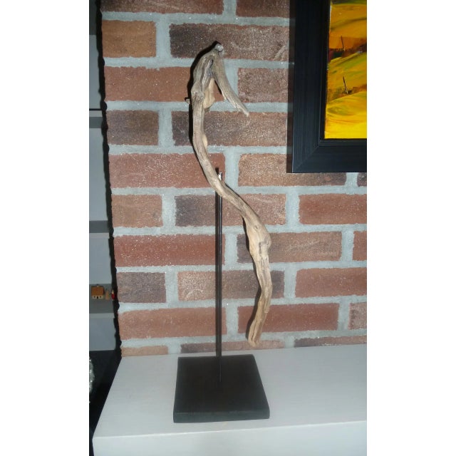 Folk Art Seahorse Driftwood Art For Sale - Image 3 of 8