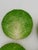 Italian Late 19th Century Eb Napoli Italian Majolica Lettuceware Plates - Set of Four For Sale - Image 3 of 16