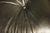 Wood Mid-Century Modern Eames Lounge Chair and Ottoman in Black Leather For Sale - Image 7 of 12