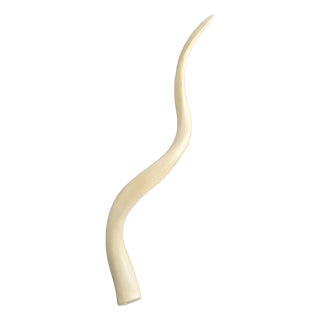 Vintage African Kudu Horn Antler For Sale
