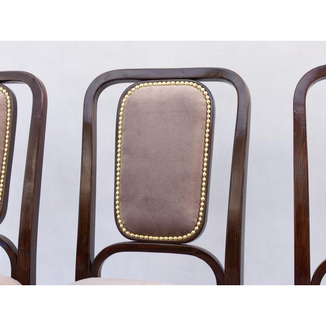 Wood Art Noveau Bentwood Chairs from Thonet, 1905, Set of 4 For Sale - Image 7 of 11