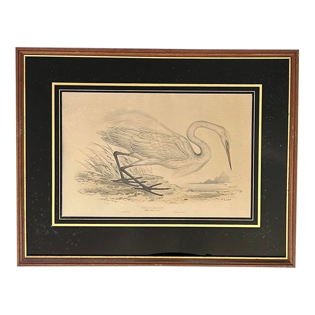 Rare Edward Lear Great Egret Hand-Colored Lithograph, John Gould, 1830s For Sale