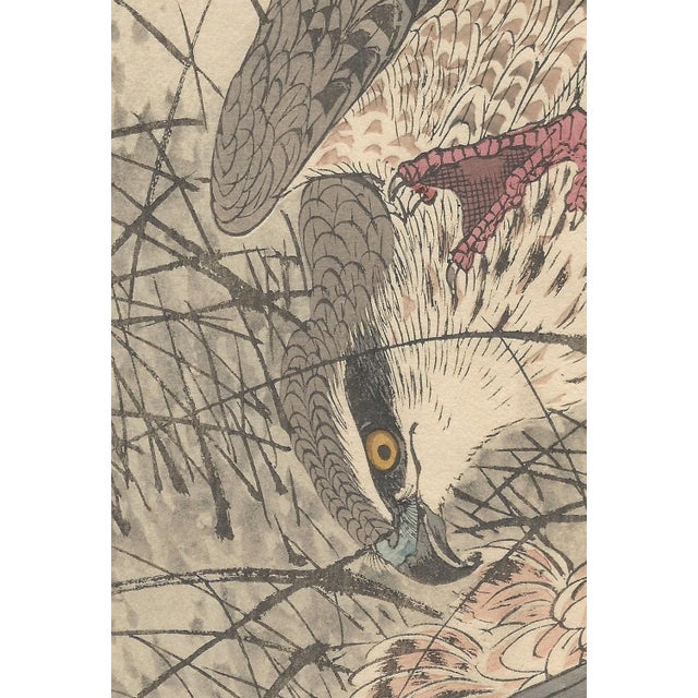 Imao Keinen, Double-Page Eurasian Goshawk Grabbing Eurasian Teal from Keinen Kacho Gafu, 1892, Woodblock Print For Sale - Image 8 of 18