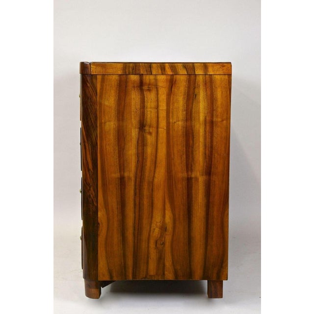 19th Century Biedermeier Chest of Drawers, Austria, 1830s For Sale - Image 16 of 18