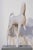 King of Pain by Shelli Langdale | Paper and mixed media sculpture of a horse For Sale
