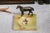 Bring a touch of vintage equestrian charm to your home with this circa 1930s polished onyx catchall. The smooth square...