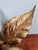 Metal Floral Brass Wall Sconces by Willy Daro for Massive, 1970, Set of 2 For Sale - Image 7 of 14