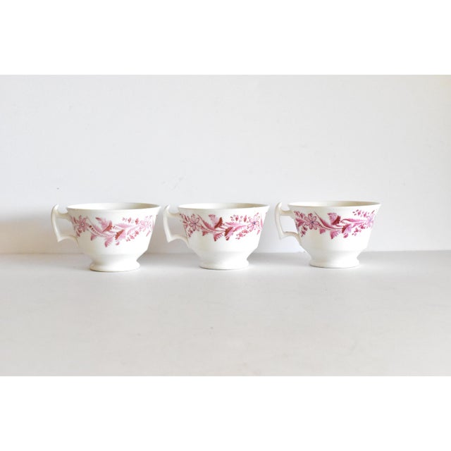 Pink Collection of Georgian Famille Rose Tea Cups - Set of 6 For Sale - Image 8 of 13
