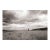 Landscape Digital Archival Print "1 Tree #0843h" by Jacques Gael Cressaty 2025 For Sale
