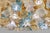 2020s Lively Floreal Multicolor Murano Glass Gold Flushmount For Sale - Image 5 of 5