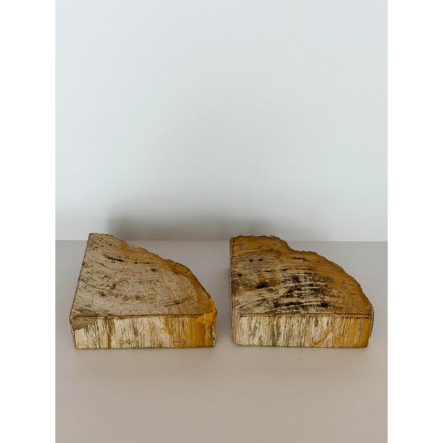 Vintage Sculptural Petrified Wood Bookends - A Pair For Sale - Image 10 of 11