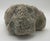 Khaki Large Fossilized Brain Coral Specimen Nautical Sea Creature Art Beach For Sale - Image 8 of 10