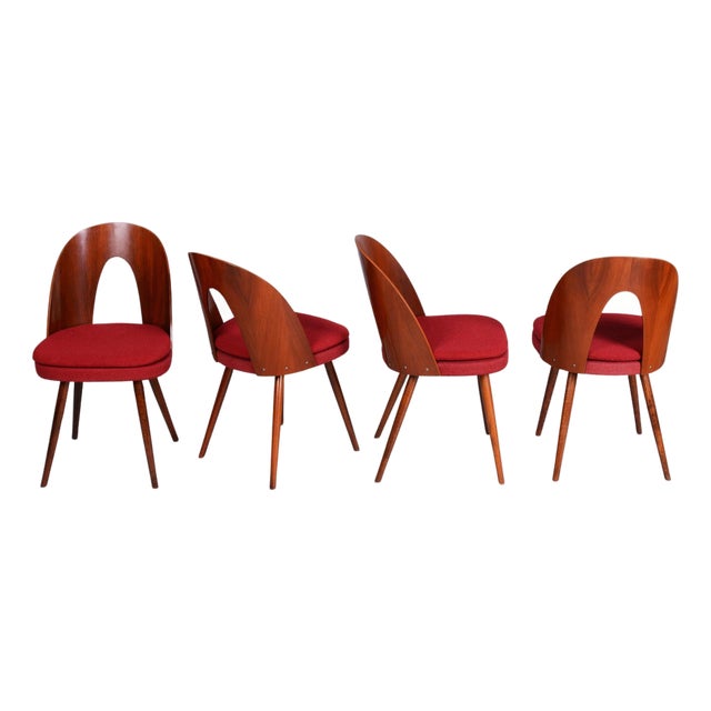 Mid-Century Walnut Chairs from Antonín Šuman, Czech, 1950s, Set of 4 For Sale