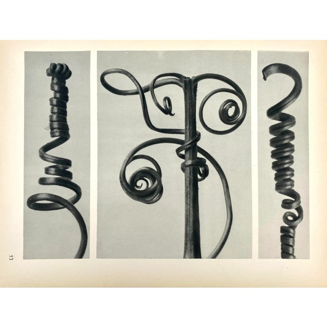 Antique Botanical Blossfeldt Print - No. 53 For Sale In Los Angeles - Image 6 of 6