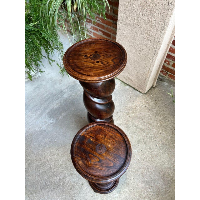 Pair Set of 2 Antique French Pedestal Stand Barley Twist Oak Large Plant Columns For Sale - Image 12 of 18