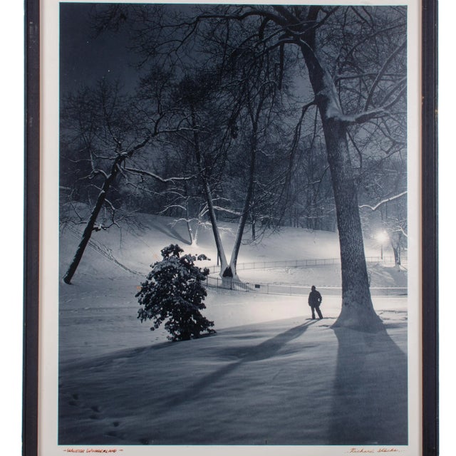 Contemporary Winter Wonderland, Baltimore Photograph by Richard Stacks For Sale - Image 3 of 6