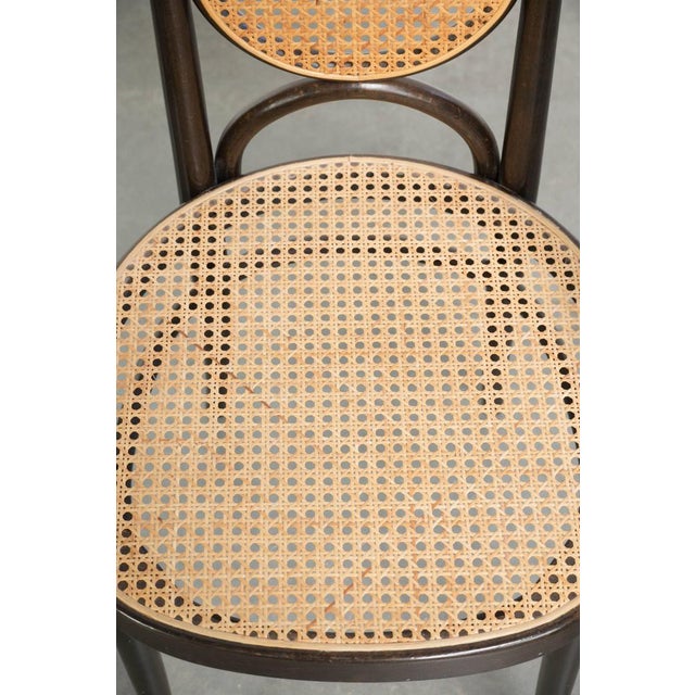 Vintage Long John High Back Armchairs in Curved Wood with Cane Seats from Thonet, Set of 2 For Sale - Image 5 of 13