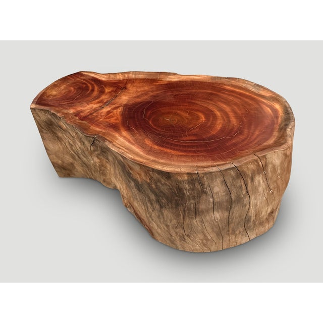 Contemporary Andrianna Shamaris Mahogany Wood Tray Style Coffee Table For Sale - Image 3 of 18