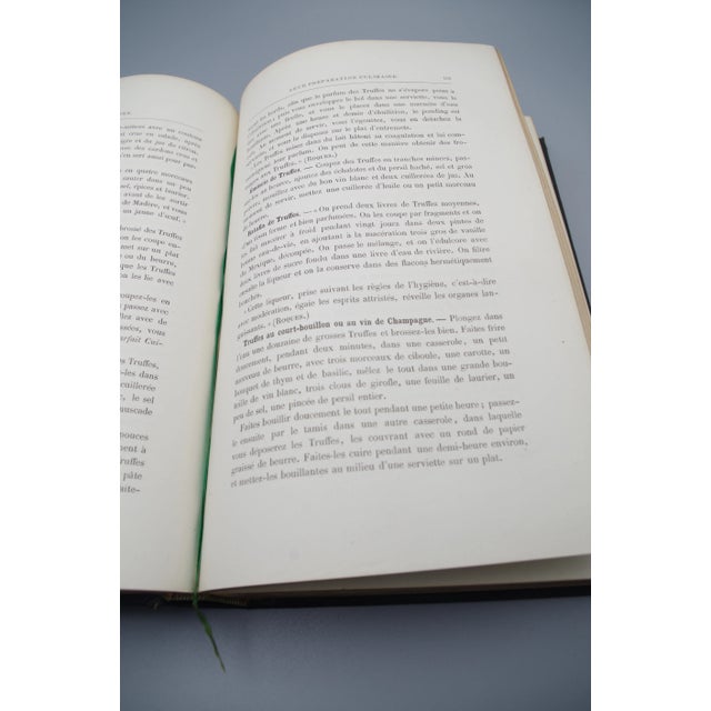 Antiquarian French Mushrooms: Les Champignons For Sale In New York - Image 6 of 11