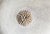 Vintage African Bamileke Tribe Beaded & Shell Round Wooden Shield 20" D For Sale - Image 4 of 5