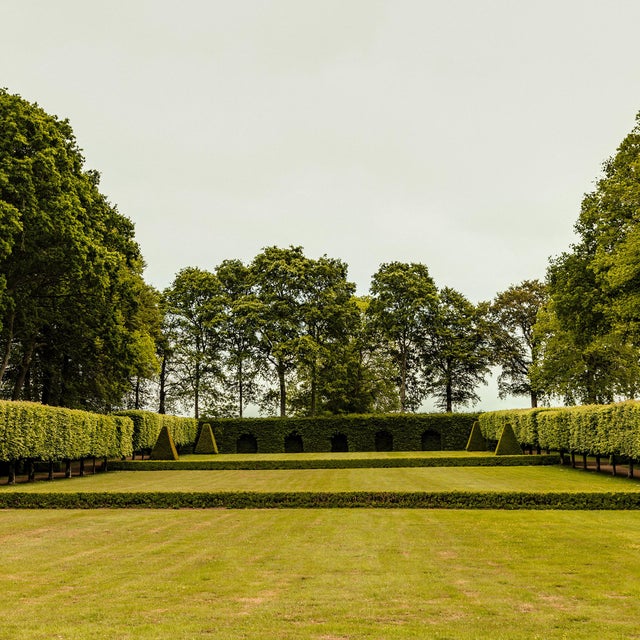 Guy Sargent, The Garden, Photograph For Sale - Image 4 of 5