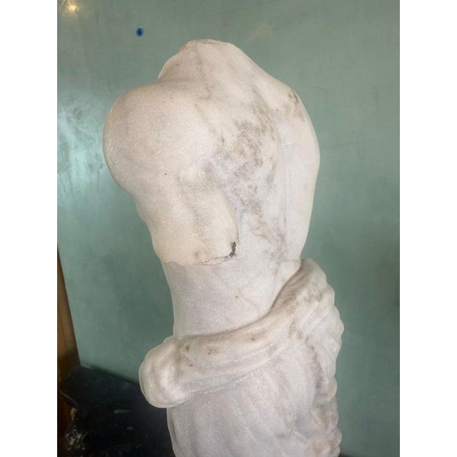 Classical Marble Male Torso Fragment on Custom Stone Base For Sale - Image 12 of 12