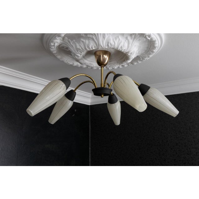 Mid-Century Modern German Sputnik Chandelier, 1950s For Sale - Image 13 of 18