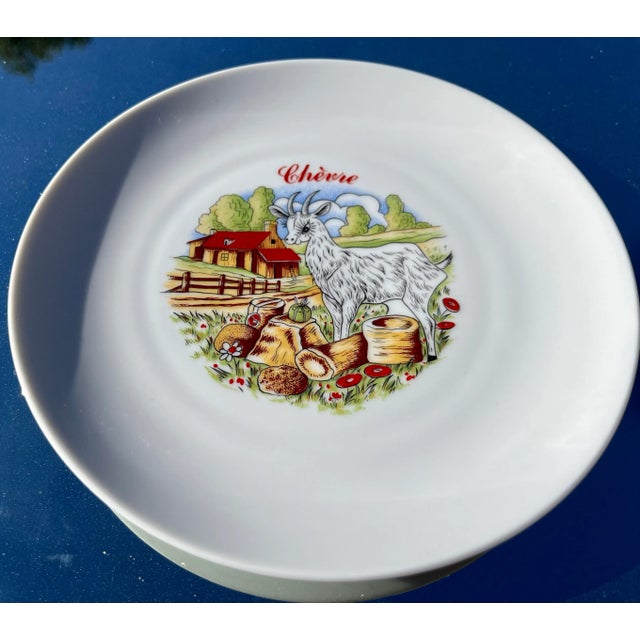 Illustration 1970s Vintage Winterling Kitchenlomite Bavaria Porcelain Illustrated Cheese Plates- Set of 5 For Sale - Image 3 of 8