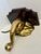 Mid 20th Century Pair Hollywood Regency Style Elephant Head Motif Brass Wall Brackets For Sale - Image 11 of 14