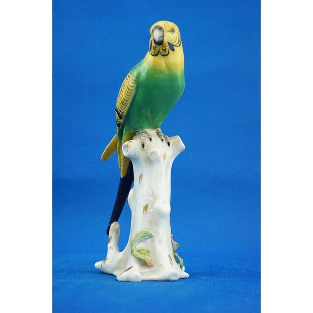 Porcelain Sculpture of Parrot Figurine by Real Casa Ferdinandea or Ginori Doccia, Italy, 1700s-1800s For Sale - Image 8 of 18
