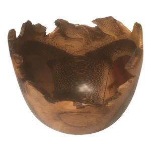 1990s Arturo Solano Live Edge Exotic Wood Turned Bowl